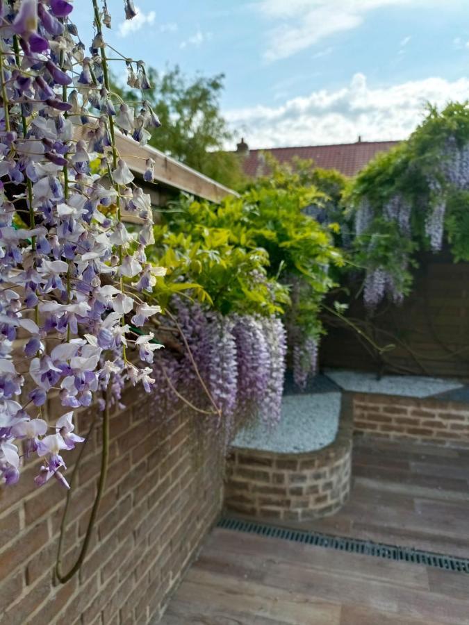 Studio Mer & Aa-Terrasse-Jardin-Wifi-Parking-Classe 3 Etoiles Grand Fort Philippe Bagian luar foto